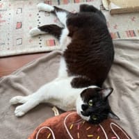け　とりましょー。