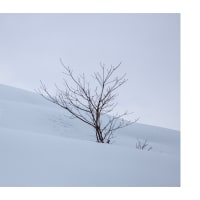 冬の記憶　― ­雪山 ―