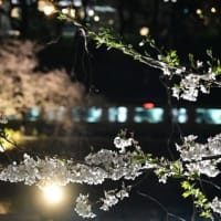 2025年4月5日　東京散歩（二回目）　その3　（神楽坂）