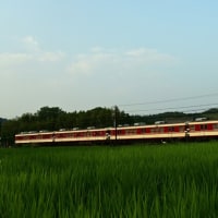 夕方は これだけ