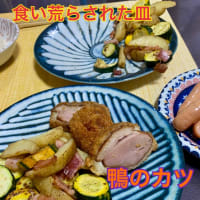 グルメな犬
