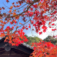 時には京都観光ウォーキング