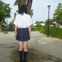 Ｎｅｗ茶トラ