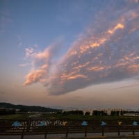 6月19日(木) 日の出を期待して暗闇散歩！！