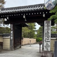 清水寺はやはり混んでいた