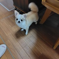 SIZUYAのパン