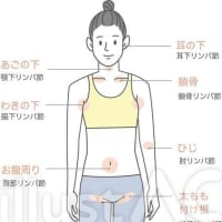 ✨〜New Style_イラストフリー素材: リンパ節図解_部位別〜✨