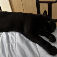 うたた寝ｗ