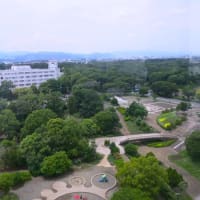 相模原公園散策