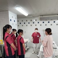 ふれいあい看護体験