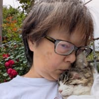 がむFoever