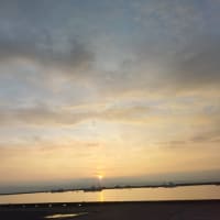 鯵釣り