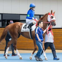 【アスゴッド】札幌競馬場入厩、次走は７／１２函館最終！