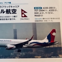 ネパール航空、関西/大阪～カトマンズ線を搭乗率低迷で早くも減便へ. ニュース‼️