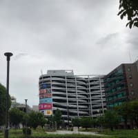 今日の博多３４１　【米価３０００円台】