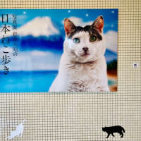 『写真展　岩合光昭の日本ねこ歩き』