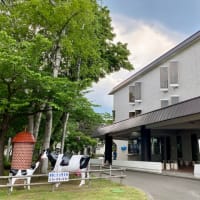 北海道～阪神戦応援旅行⑤