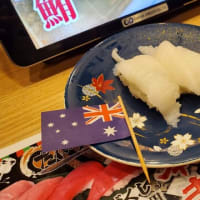 5月15日「本日のおすすめ」