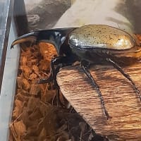 ゴールデンウイーク　嫁さんと生物園に行ってきました。