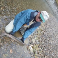 秋深まる渓流でアメマスを狙う