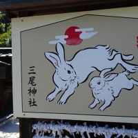 卯年にウサギ神社を拝む　＠　京都妖怪探訪（８７１）
