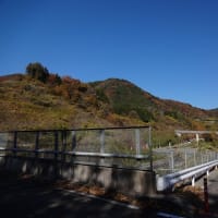 大春日和の西富士サイクリング&おまけの扇山（未遂）