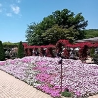 2025年5月9日の越後湯沢