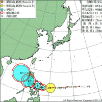 今日の台風9号