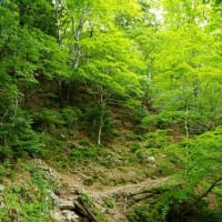 稲村ヶ岳（奈良）