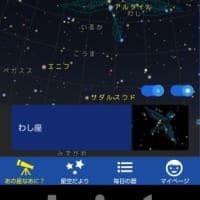 粋な投稿