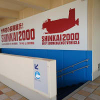 「しんかい2000」新江ノ島水族館への移送