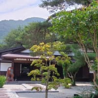 今日も暑くなりそう