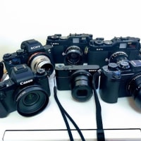 R-D1が2台になりました(^^)/