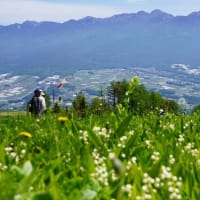 入笠山湿原の”すずらん祭り”
