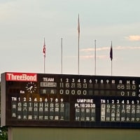 特別支援学校（知的障害）野球部 の甲子園予選生観戦