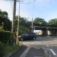 朝の散歩（2025/7/7）・・・姶良市加治木町宇曽ノ木川上流方面
