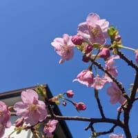 またも寒気が