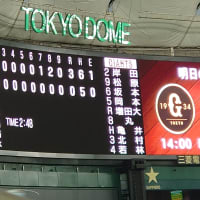 強い！強い！阪神タイガース(^^♪