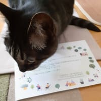 エコバッグ届いた♪