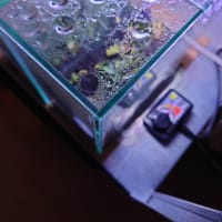 冬場の保温