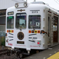 和歌山電鉄　たま駅長１５歳誕生日おめでとうございます。