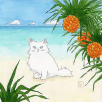 アダンの浜