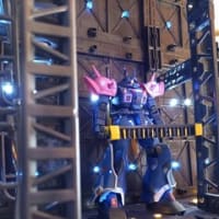 HGUC イフリート改➁