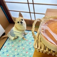 娘が贈ってくれたチーズケーキ