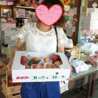 2020年[新型コロナ対策]笛吹市御坂町桃狩り食べ放題、お取り寄せ、お土産などオススメの農園農場、直売所
