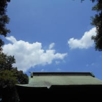 九州～近畿の梅雨明け～ (ﾉﾟοﾟ)ﾉ 　七尾のフレンチパピロ～♪