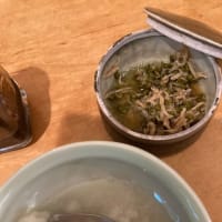 歯科掃除と体重増加
