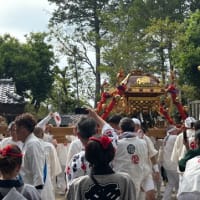 令和7年八大神社下一乗寺氏子祭　神幸祭