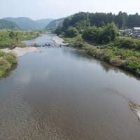 本日の海部川