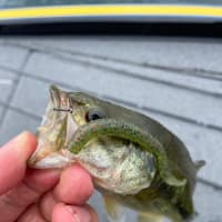 琵琶湖釣行　その１